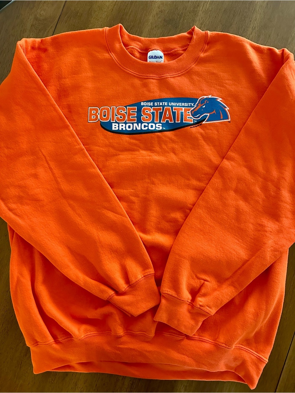 Y2K Gildan Orange Heavy Blend Sweatshirt with Team Graphic
